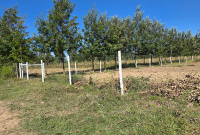 505 ac Residential Land at Burguret - 4