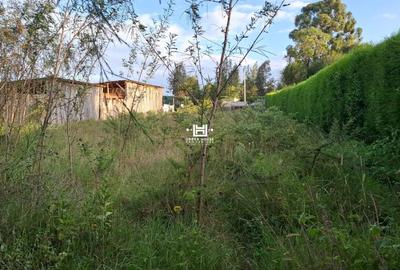 0.25 ac Land in Nanyuki - 4