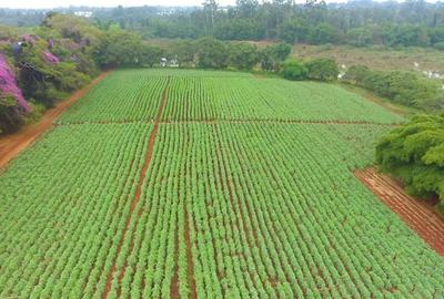2 ac Land in Thika