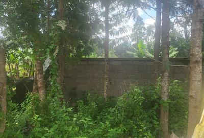 Land in Karen