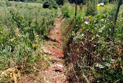 Land at Nyeri