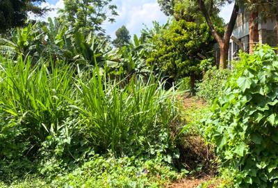1 ac Land at Muchatha - 3