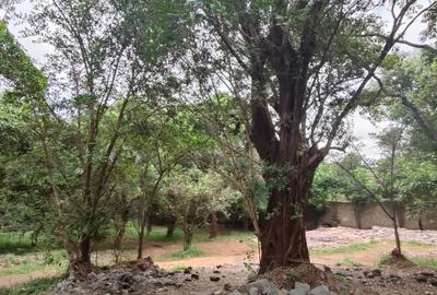 Residential Land at Hardy