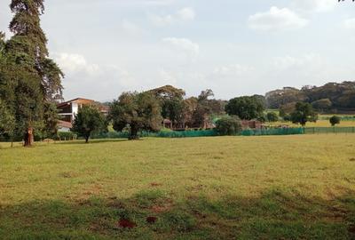 3.5 ac Commercial Land in Karen