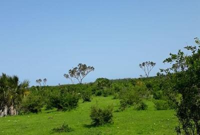 202,350 m² Land in Vipingo