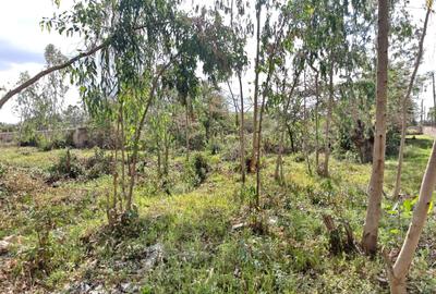 0.5 ac Land in Karen - 2