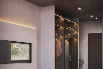 Studio Apartment with En Suite in Tatu City - 4