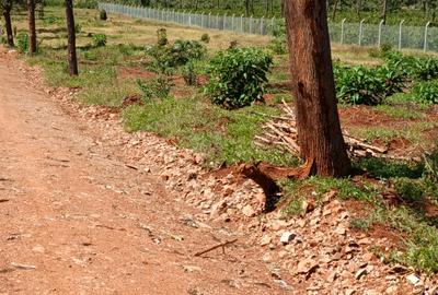 Residential Land at Gatanga Road - 4