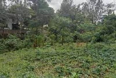 Land in Kileleshwa