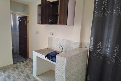 Serviced Studio Apartment with En Suite at Juja