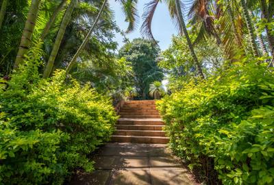 Land in Muthaiga