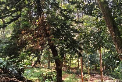 Residential Land at Kyuna - 4