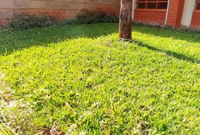 4 Bed Townhouse with En Suite in Lavington