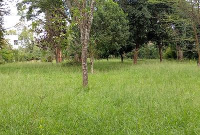 0.5 ac Land at Hardy - 3