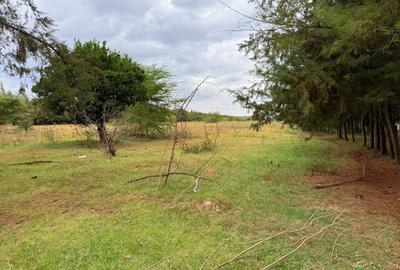 19 ac Land in Narok - 2