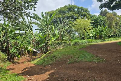 1.25 ac Land in Meru - 2