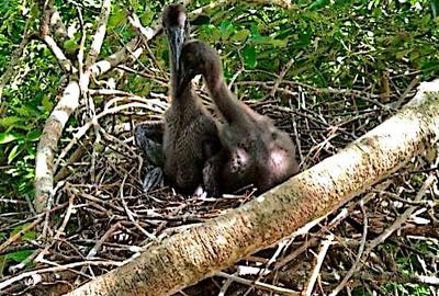 8,093.72 m² Land in Mtwapa - 3