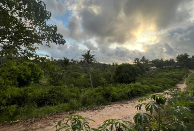 0.75 ac Land at Ls139 - 3