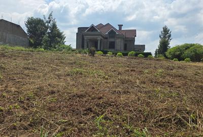 0.28 ac Residential Land at Paradise Lost Road - 3