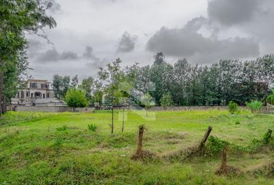 0.5 ac Land in Karen - 3