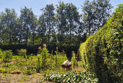 Land at Silanga Road