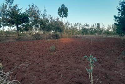 0.25 ac Residential Land at Kibiko - Ngong - 3