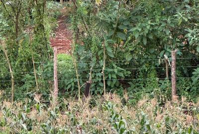 Land in Nyeri - 3