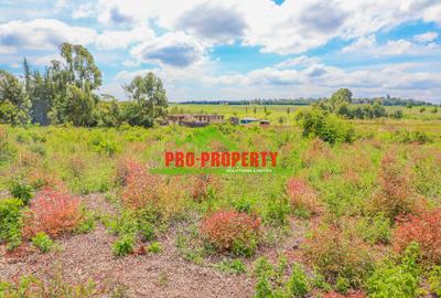 0.05 ha Residential Land at Ondiri - 2