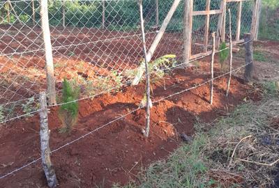 Land in Tatu City - 3