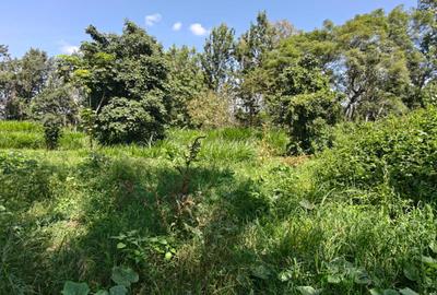 1.1 ac Land in Karen - 4
