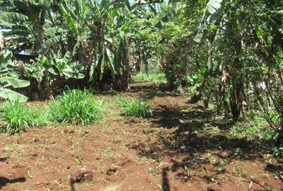 Land at Off Limuru Rd - 4