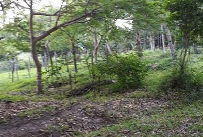 80,940 m² Commercial Land in Kwale County