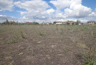 4.75 ac Land at Parliament Rd - 2