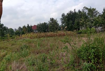 10,890 ac Land at Karen - 4