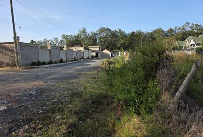 Residential Land in Karen - 3