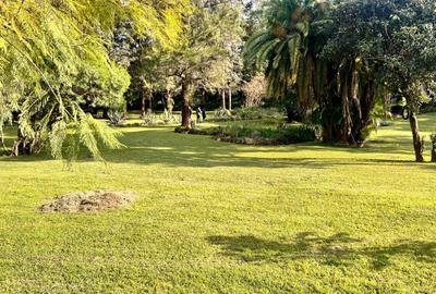 Commercial Land at Thika Road - 2