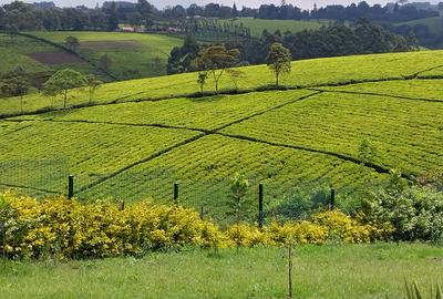 Residential Land at Tigoini Nazareth Road