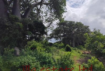 0.25 ac Land at Diani Beach Road - 3