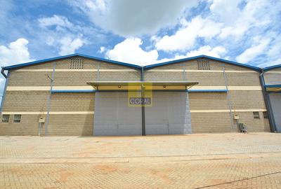 Warehouse in Ruiru