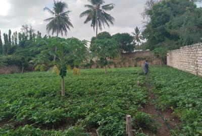 0.25 ac Land at Ls221