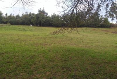 0.25 ac Land in Ngong