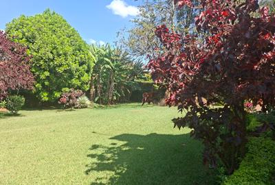 4 Bed House with En Suite at Off Runda Grove - 3