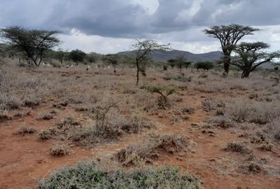 1 ha Land at Saikeri - 2