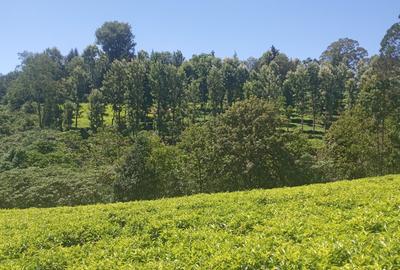 0.5 ac Land in Tigoni