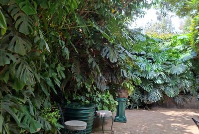 Furnished 1 Bed Apartment with Backup Generator in Runda - 4