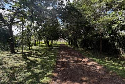 Residential Land at Bomas Of Kenya - 3