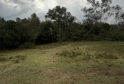 1 ac Land in Karen - 2