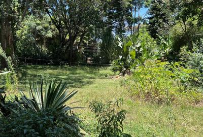 Land at Old Kitisuru