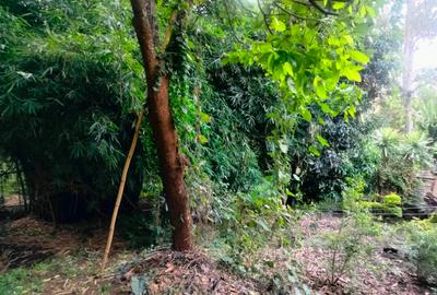 0.25 ac Land in Rhapta Road