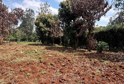 0.5 ac Residential Land at Muthithi Estate